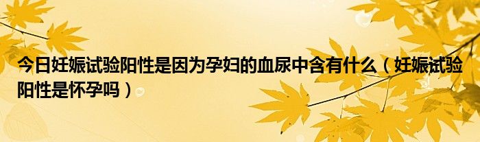 今日妊娠试验阳性是因为孕妇的血尿中含有什么（妊娠试验阳性是怀孕吗）