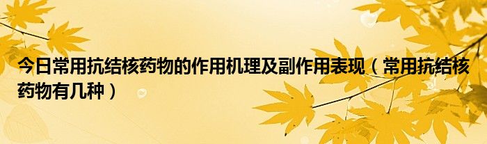 今日常用抗结核药物的作用机理及副作用表现（常用抗结核药物有几种）