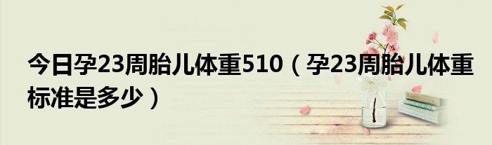 今日孕23周胎儿体重510（孕23周胎儿体重标准是多少）