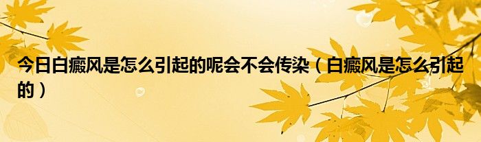 今日白癜风是怎么引起的呢会不会传染（白癜风是怎么引起的）