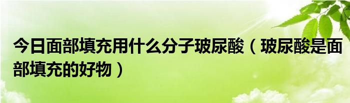 今日面部填充用什么分子玻尿酸（玻尿酸是面部填充的好物）