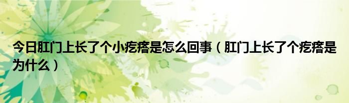 今日肛门上长了个小疙瘩是怎么回事（肛门上长了个疙瘩是为什么）