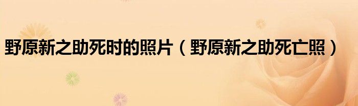 野原新之助死时的照片（野原新之助死亡照）