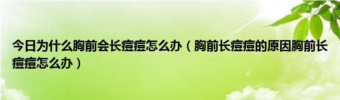 今日为什么胸前会长痘痘怎么办（胸前长痘痘的原因胸前长痘痘怎么办）