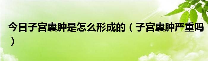 今日子宫囊肿是怎么形成的（子宫囊肿严重吗）