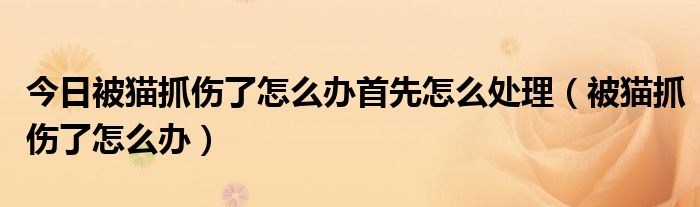 今日被猫抓伤了怎么办首先怎么处理（被猫抓伤了怎么办）