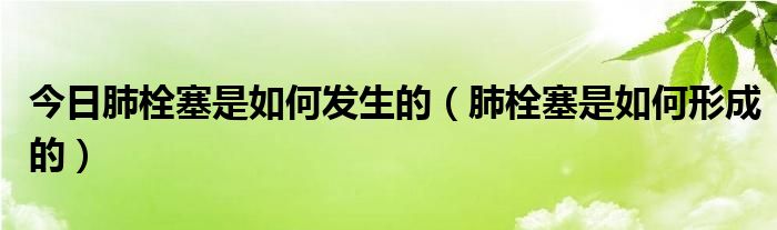 今日肺栓塞是如何发生的（肺栓塞是如何形成的）