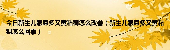 今日新生儿眼屎多又黄粘稠怎么改善（新生儿眼屎多又黄粘稠怎么回事）