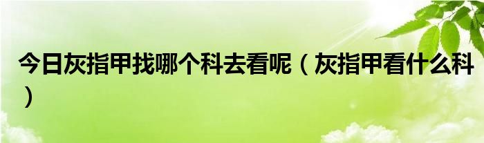 今日灰指甲找哪个科去看呢（灰指甲看什么科）