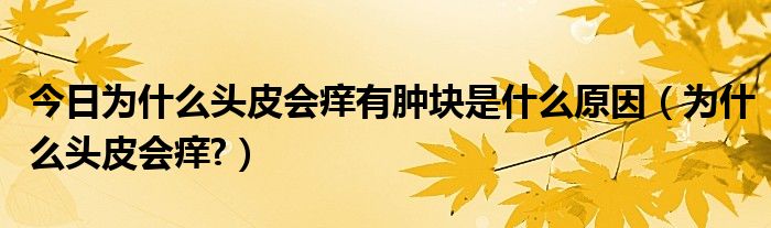 今日为什么头皮会痒有肿块是什么原因（为什么头皮会痒?）