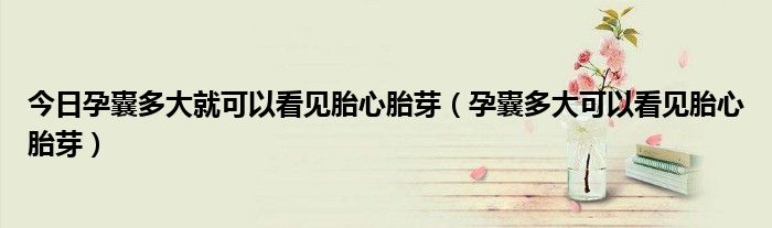 今日孕囊多大就可以看见胎心胎芽（孕囊多大可以看见胎心胎芽）