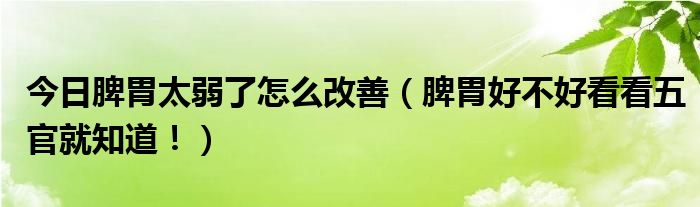 今日脾胃太弱了怎么改善（脾胃好不好看看五官就知道！）