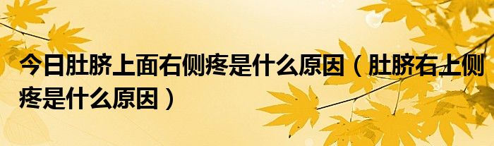 今日肚脐上面右侧疼是什么原因（肚脐右上侧疼是什么原因）