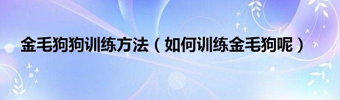 金毛狗狗训练方法（如何训练金毛狗呢）