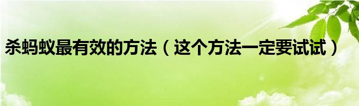 杀蚂蚁最有效的方法（这个方法一定要试试）