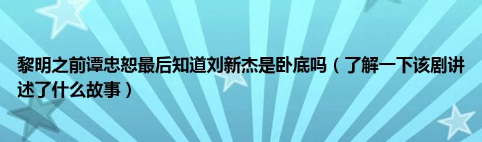 黎明之前谭忠恕最后知道刘新杰是卧底吗（了解一下该剧讲述了什么故事）