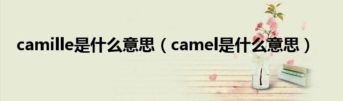 camille是什么意思（camel是什么意思）