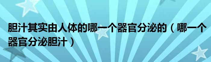 胆汁其实由人体的哪一个器官分泌的（哪一个器官分泌胆汁）