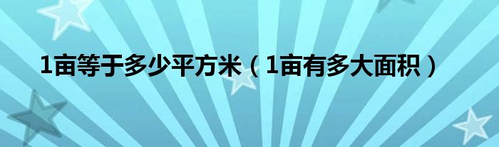 1亩等于多少平方米（1亩有多大面积）