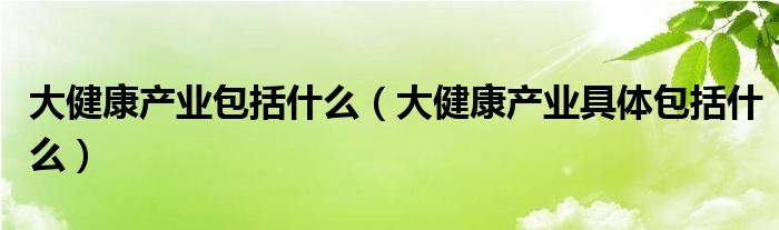 大健康产业包括什么（大健康产业具体包括什么）