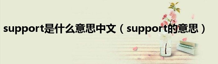 support是什么意思中文（support的意思）