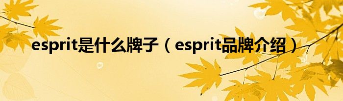 esprit是什么牌子（esprit品牌介绍）