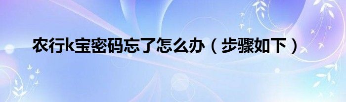 农行k宝密码忘了怎么办（步骤如下）