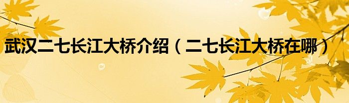 武汉二七长江大桥介绍（二七长江大桥在哪）