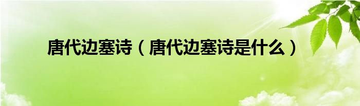 唐代边塞诗（唐代边塞诗是什么）