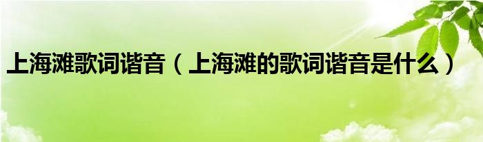 上海滩歌词谐音（上海滩的歌词谐音是什么）