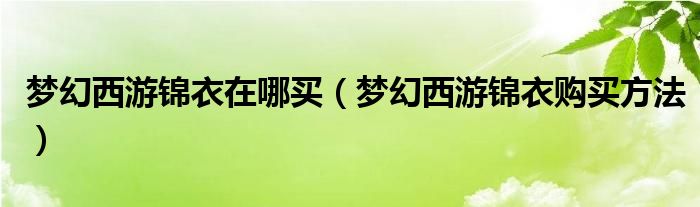 梦幻西游锦衣在哪买（梦幻西游锦衣购买方法）