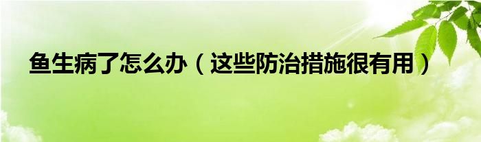 鱼生病了怎么办（这些防治措施很有用）