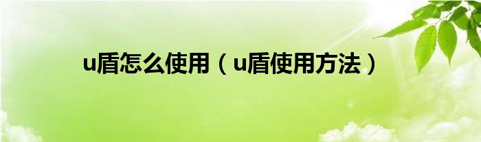 u盾怎么使用（u盾使用方法）