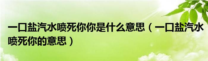 一口盐汽水喷死你你是什么意思（一口盐汽水喷死你的意思）