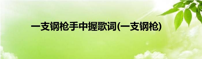 一支钢枪手中握歌词(一支钢枪)