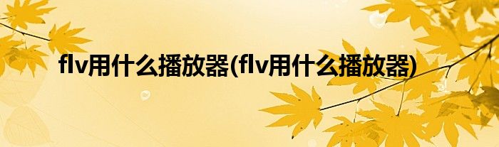 flv用什么播放器(flv用什么播放器)