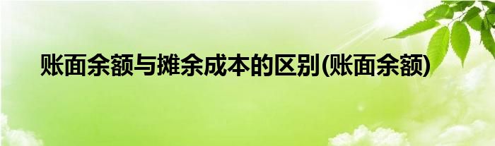 账面余额与摊余成本的区别(账面余额)