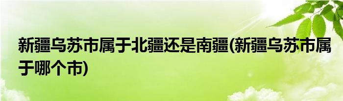 新疆乌苏市属于北疆还是南疆(新疆乌苏市属于哪个市)