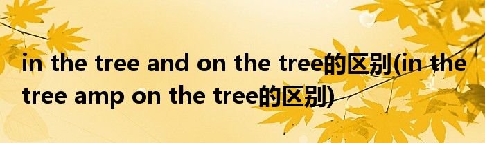 in the tree and on the tree的区别(in the tree amp on the tree的区别)