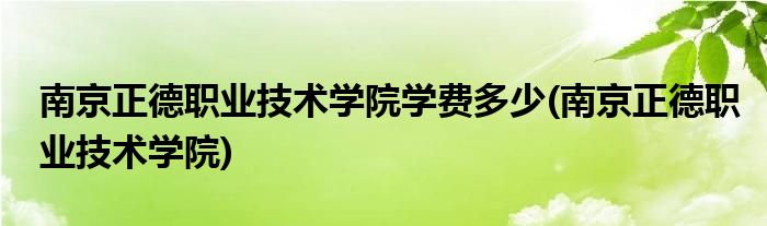 南京正德职业技术学院学费多少(南京正德职业技术学院)