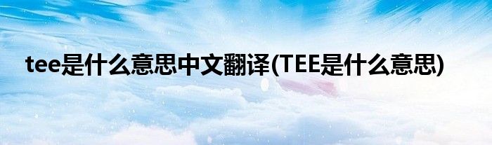 tee是什么意思中文翻译(TEE是什么意思)