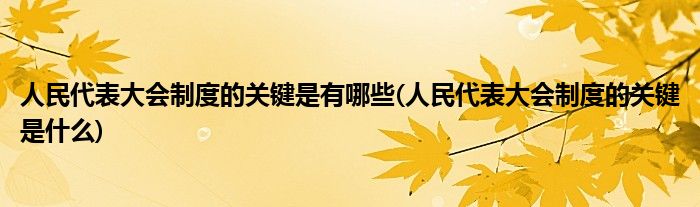 人民代表大会制度的关键是有哪些(人民代表大会制度的关键是什么)