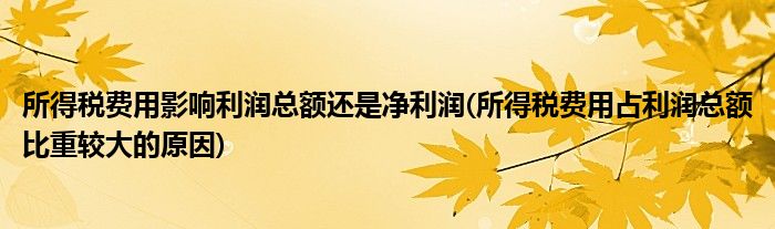 所得税费用影响利润总额还是净利润(所得税费用占利润总额比重较大的原因)