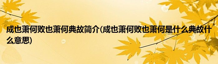 成也萧何败也萧何典故简介(成也萧何败也萧何是什么典故什么意思)