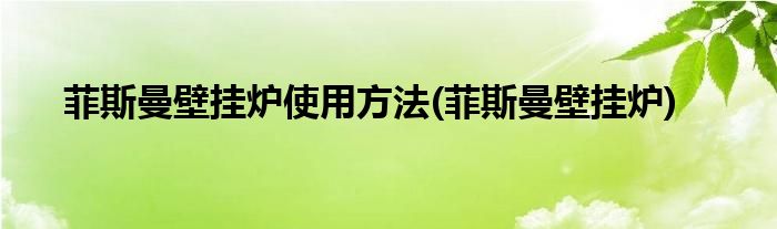 菲斯曼壁挂炉使用方法(菲斯曼壁挂炉)