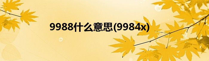 9988什么意思(9984x)