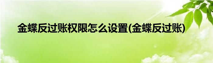 金蝶反过账权限怎么设置(金蝶反过账)