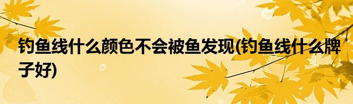 钓鱼线什么颜色不会被鱼发现(钓鱼线什么牌子好)