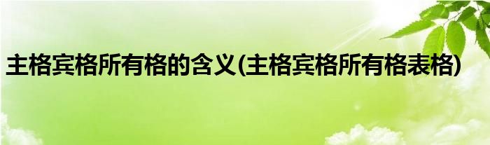 主格宾格所有格的含义(主格宾格所有格表格)