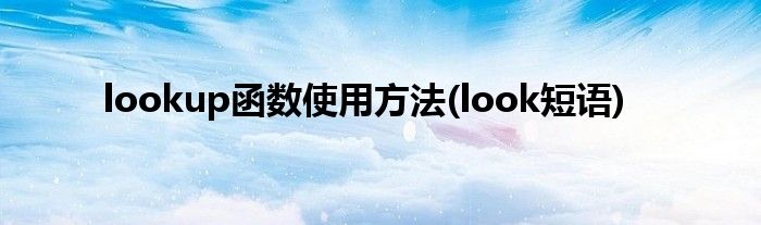 lookup函数使用方法(look短语)